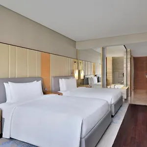 新德里空港jw万豪酒店 ***** 新德里